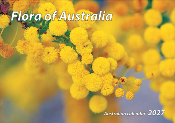 Flora of Australia - wall calendar (240x340mm, $11.99AUD RRP) Flora of Australia - wall calendar (240x340mm, $11.99AUD RRP)