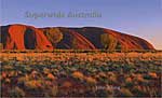 Superwide Australia (150x250mm (150x950mm foldout), 96pp, hardcover)