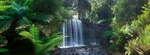Russell Falls - Australia G028 (size: 120x340mm) Russell Falls - Australia G028 (size: 120x340mm)