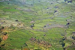 Mosaic - China L513 (sizes: 400x600; 600x900; 900x1350mm) Mosaic - China L513 (sizes: 400x600; 600x900; 900x1350mm)