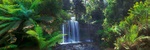 Russell Falls - Australia P087 (sizes: 400x1200; 500x1500; 600x1800mm) Russell Falls - Australia P087 (sizes: 400x1200; 500x1500; 600x1800mm)