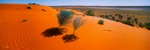 Sundance - Australia P122 (sizes: 400x1200; 500x1500; 600x1800mm) Sundance - Australia P122 (sizes: 400x1200; 500x1500; 600x1800mm)